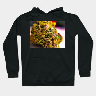 MJ blackberry Hoodie